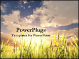 PowerPoint Template - Sun shines over a field of wheat under the blue sky.