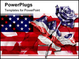 PowerPoint Template - A single rose against a black background digitally enhanced in the colours of the American flag.