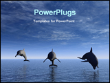 PowerPoint Template - dolphin in blue sea