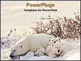 PowerPoint Template - polar bear with her cubs