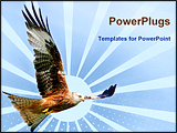 PowerPoint Template - a red kite eagle flying in a sky