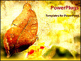 PowerPoint Template - a image of a vintage butterfly