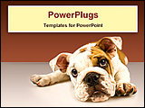PowerPoint Template - close-up image of a puppy dog