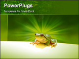 PowerPoint Template - Green Frog