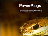 PowerPoint Template - Closeup of a Snake