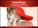 PowerPoint Template - kitten playing under red baseball cap isolated on white background