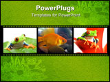 PowerPoint Template - frog perched on the leaf of a guzmania a red-eyed tree frog