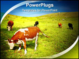 PowerPoint Template - Beautiful view with grazing cows and blue sky