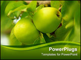 PowerPoint Template - Two green apples suspended on a tree