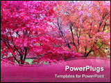 PowerPoint Template - Japanese maple trees with beautiful autumn colours.