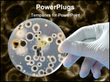 PowerPoint Template - Gloved Hand Holds Petri Dish with Bacteria Culture