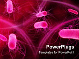 PowerPoint Template - 3d rendered close up of isolated bacteria