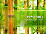 PowerPoint Template - Bamboo canes growing in their natural habitat.