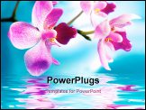 PowerPoint Template - Picture of a beautiful orchid flowers reflected in water