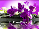 PowerPoint Template - Close up of beautiful purple orchids on massage stones