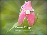 PowerPoint Template - a nice engagement ring on a pink rose