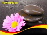PowerPoint Template - spa stones with water drops and pink flower on black background