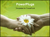 PowerPoint Template - handshake with daisy focus on the flower,special soft photo f/x)