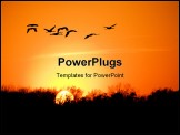 PowerPoint Template - Silhouettes of flying sandhill cranes with sunset in the background