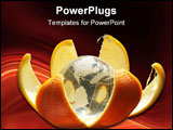 PowerPoint Template - globe in oranges skin