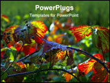 PowerPoint Template - blackberry branch with vivid red leaves over the strong sunlight