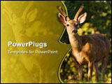 PowerPoint Template - Male blacktailed deer streaked by morning sunlight.