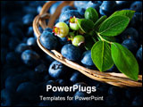 PowerPoint Template - fresh blueberries