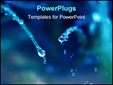 PowerPoint Template - abstract drops on plant and spider web