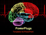 PowerPoint Template - X-ray image of a human head brain