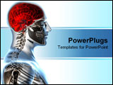 PowerPoint Template - X-ray head anatomy over a white background