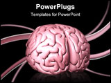 PowerPoint Template - d illustration of a human brain sitting on top of a large transparent FREE sticker with curled ends
