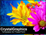 PowerPoint Template - Neon yellow and pink flowers over blue.