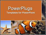 PowerPoint Template -  