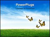 PowerPoint Template - an image of colorful butterflies flying over green grass