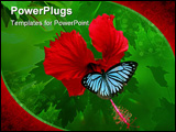 PowerPoint Template - butterfly on hibiscus