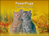 PowerPoint Template - Some kittens for a photo shoot