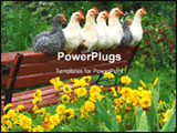 PowerPoint Template - young chickens resting on a garden bench