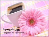 PowerPoint Template - close-ups of cup of coffee with pink gerbera - good morning