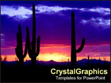 PowerPoint Template - Rich colored sunset of cactus in desert.
