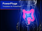 PowerPoint Template - 3d rendered illustration of a female anatomy with highlighted colon