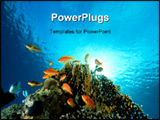 PowerPoint Template - coral and fish taken in the red sea.