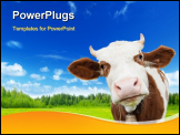 PowerPoint Template - cow and field of fresh grass
