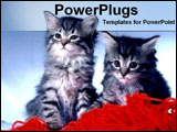 PowerPoint Template - two kittens with yarn ball