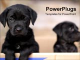 PowerPoint Template - two little black puppies