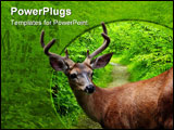 PowerPoint Template - deer by road