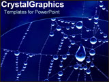 PowerPoint Template - Rain drops on spiderweb.