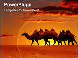 PowerPoint Template - Desert landscape with walking camels at sunset