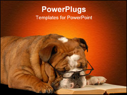 PowerPoint Template - english bulldog sleeping with reading glasses and a novel