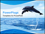PowerPoint Template - two dolphins in the ocean jump out of water