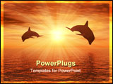 PowerPoint Template - two dolphins floating at ocean